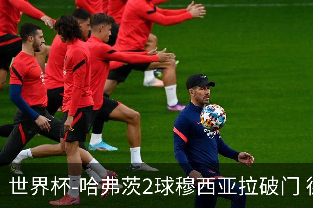 世界杯-哈弗茨2球穆西亚拉破门 德国全面开花7-1库拉索